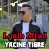 About Lgalb Mrad Song