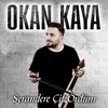 About Serandere Çit Ördüm Song