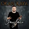 About Yaylacı Song