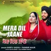 MERA DIL JAANE