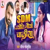 About SDM Jyoti Morya Chalisa Song