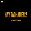 About HAY TADHAMEN 2 Song