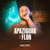 About Apaziguar / Flor Song
