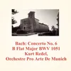 Concerto No. 6 B Flat Major BWV 1051 - 1 - Allegro