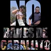 About No Bailes De Caballito Song