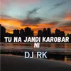 About Tu Na Jandi Karobar Ni Song