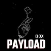 Payload