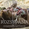About Rozsypana Song