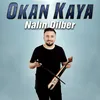 About Nalın Dilber Song