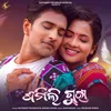 About Sharmili Guri Song