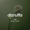 About Dizrutta Song
