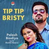 About Tip Tip Bristy Song