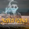About Naya Gana Song