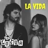 About La vida Song