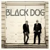 About Black Dog Song