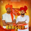 About Bhagwa Song