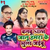 About Banbu SDM Janu Hamra Ke Bhula Jaibu Song