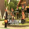 Saleuem