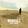 About Wamoole Song