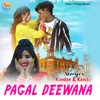 About Pagal Deewana Song