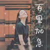 About 百里加急 Song