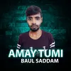 About Amay Tumi Song