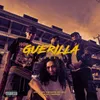 About Guerilla Song