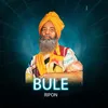 About Bule Song