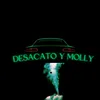 About Desacato y molly Song