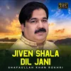 About Jiven Shala Dil Jani Song
