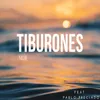 About Tiburones Song