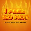 About I Feel So Hot Song