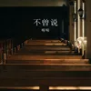 About 不曾说 Song