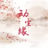About 动尘缘 Song