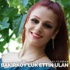 About Bakırköy'lük Ettin Ulan Song
