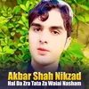 Hal Da Zra Tata Za Waiai Nasham