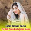 About Chi Rab Paida Karlo Janan Alama Song