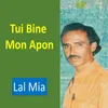 About Tui Bine Mon Apon Song