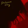 About Shutdown City Song