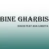 About Bine Gharbis Song