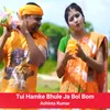 About Tui Hamke Bhule Ja Bol Bum Song