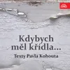 Kdybych měl křídla