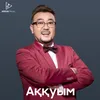 About Аққуым Song