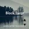 About Black Swan Song