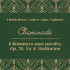 About 6 Romances sans paroles, Op. 76: No. 6, Meditation Song