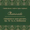 6 Romances sans paroles, Op. 76: No. 6, Meditation