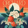 Orchard