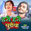 About Hari Hari Chudiya Song