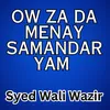 About Ow Za Da Menay Samandar Yam Song