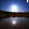 About moonlight fishing Song